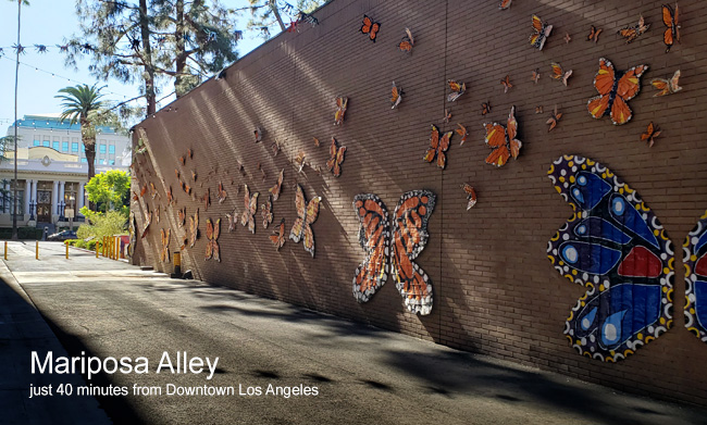 Mariposa Alley